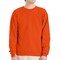 Hanes EcoSmart Unisex Crewneck Sweatshirt P160 Cotton-Poly Blend Fleece for Crafts